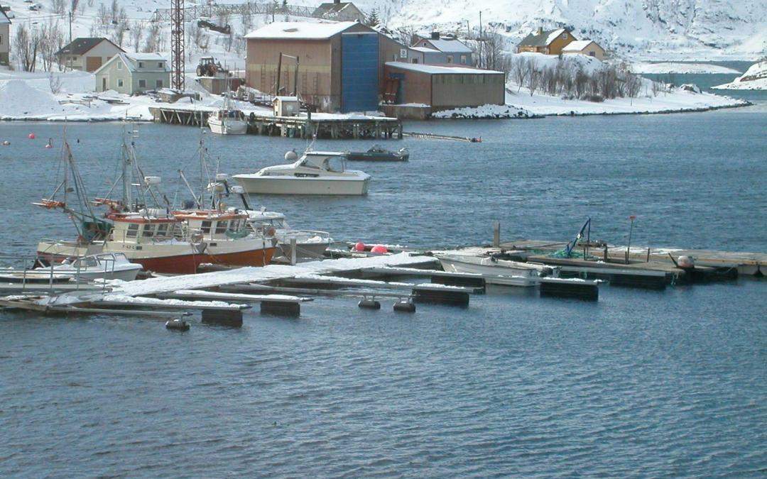 Bergsfjord Loppa kommune