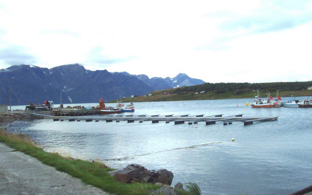 Djupvik